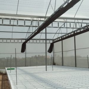 thi-cong-2000m2-cat-nang-va-he-thong-thuy-canh-tai-tan-an-long-an-21