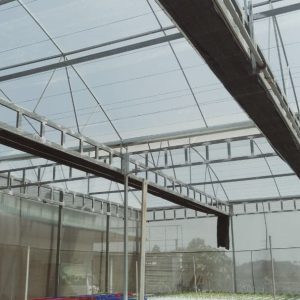 thi-cong-2000m2-cat-nang-va-he-thong-thuy-canh-tai-tan-an-long-an-22