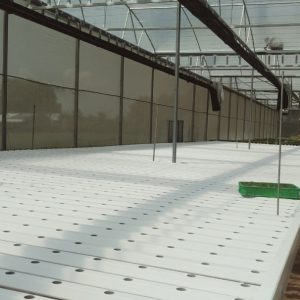 thi-cong-2000m2-cat-nang-va-he-thong-thuy-canh-tai-tan-an-long-an-23