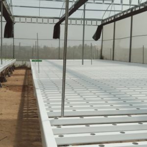 thi-cong-2000m2-cat-nang-va-he-thong-thuy-canh-tai-tan-an-long-an-24