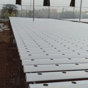 thi-cong-2000m2-cat-nang-va-he-thong-thuy-canh-tai-tan-an-long-an-25