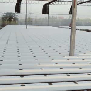 thi-cong-2000m2-cat-nang-va-he-thong-thuy-canh-tai-tan-an-long-an-26