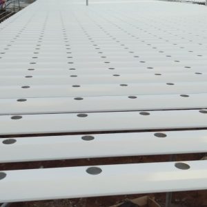 thi-cong-2000m2-cat-nang-va-he-thong-thuy-canh-tai-tan-an-long-an-27