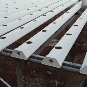 thi-cong-2000m2-cat-nang-va-he-thong-thuy-canh-tai-tan-an-long-an