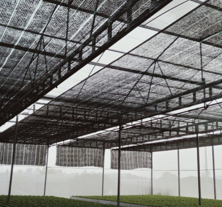 thi-cong-2000m2-cat-nang-va-he-thong-thuy-canh-tai-tan-an-long-an-5