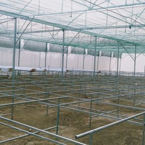 thi-cong-3000m2-trong-thuy-canh-dong-nai-1