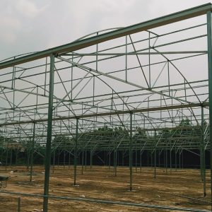 thi-cong-3000m2-trong-thuy-canh-dong-nai-11