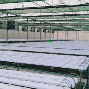 thi-cong-3000m2-trong-thuy-canh-dong-nai-12