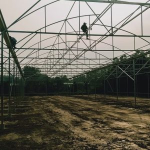 thi-cong-3000m2-trong-thuy-canh-dong-nai-13