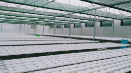 thi-cong-3000m2-trong-thuy-canh-dong-nai-14