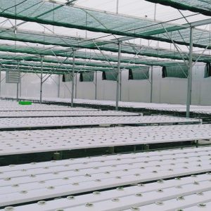 thi-cong-3000m2-trong-thuy-canh-dong-nai-14