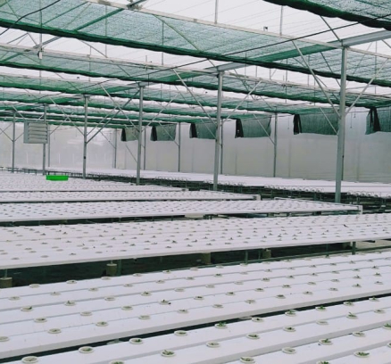 thi-cong-3000m2-trong-thuy-canh-dong-nai-14