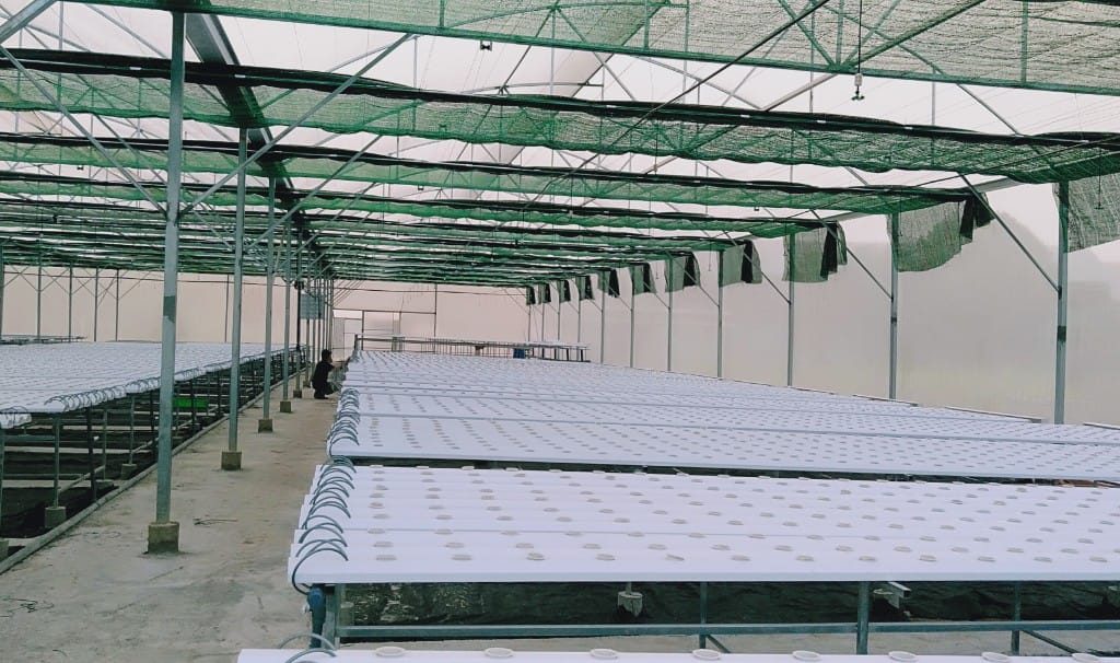Nhà trồng rau thủy canh 3.000 m² tại Đồng Nai