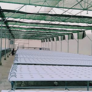 thi-cong-3000m2-trong-thuy-canh-dong-nai-15