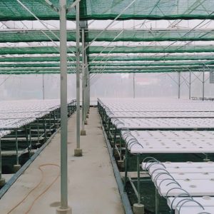 thi-cong-3000m2-trong-thuy-canh-dong-nai-16