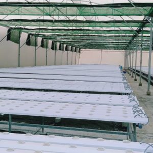 thi-cong-3000m2-trong-thuy-canh-dong-nai-17