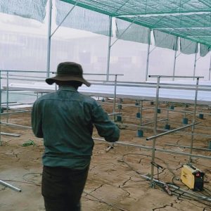 thi-cong-3000m2-trong-thuy-canh-dong-nai-18