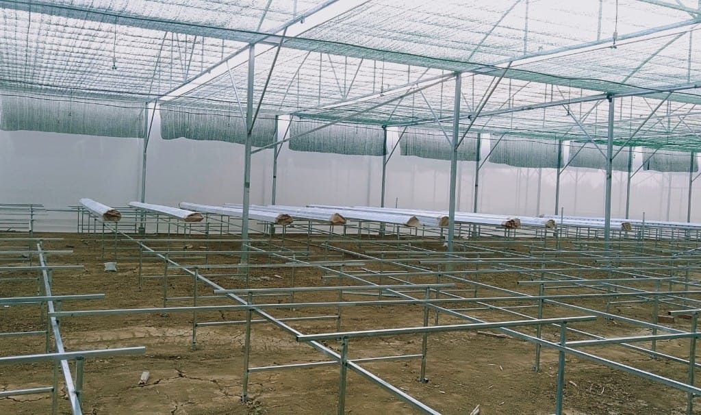 Thi công 3.000 m² trồng thủy canh tại Đồng Nai