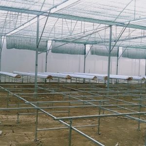 thi-cong-3000m2-trong-thuy-canh-dong-nai-2