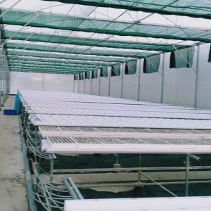 thi-cong-3000m2-trong-thuy-canh-dong-nai-20