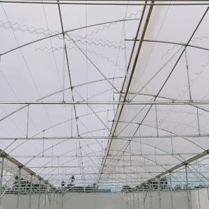 thi-cong-3000m2-trong-thuy-canh-dong-nai-23