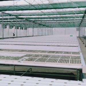 thi-cong-3000m2-trong-thuy-canh-dong-nai-24