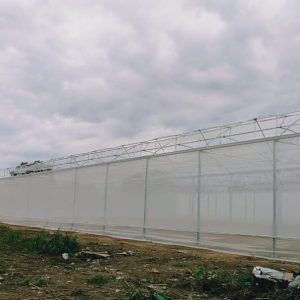 thi-cong-3000m2-trong-thuy-canh-dong-nai-25