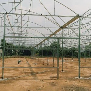 thi-cong-3000m2-trong-thuy-canh-dong-nai-3