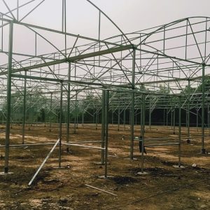 thi-cong-3000m2-trong-thuy-canh-dong-nai