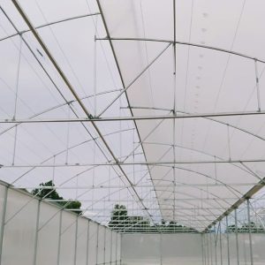 thi-cong-3000m2-trong-thuy-canh-dong-nai-31