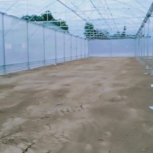 thi-cong-3000m2-trong-thuy-canh-dong-nai-33