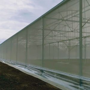 thi-cong-3000m2-trong-thuy-canh-dong-nai-34