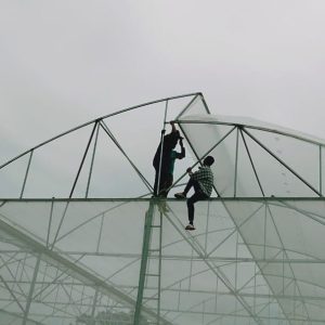 thi-cong-3000m2-trong-thuy-canh-dong-nai-36