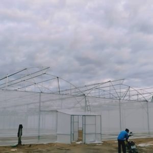 thi-cong-3000m2-trong-thuy-canh-dong-nai-39