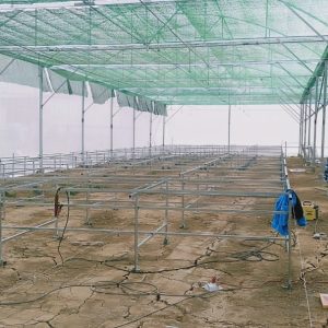 thi-cong-3000m2-trong-thuy-canh-dong-nai-4