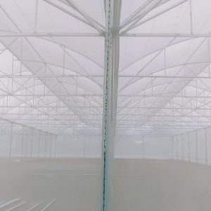 thi-cong-3000m2-trong-thuy-canh-dong-nai-40