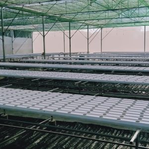 thi-cong-3000m2-trong-thuy-canh-dong-nai-5