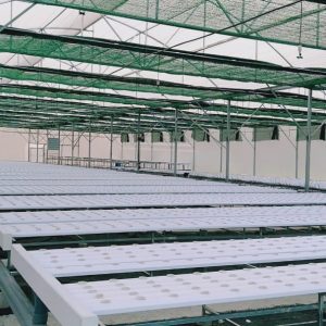 thi-cong-3000m2-trong-thuy-canh-dong-nai-6