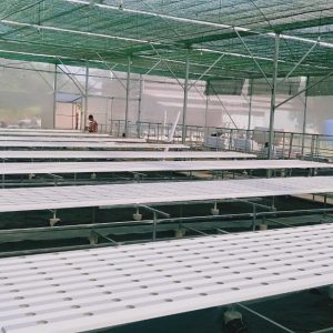 thi-cong-3000m2-trong-thuy-canh-dong-nai-7