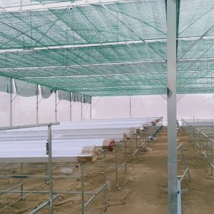 thi-cong-3000m2-trong-thuy-canh-dong-nai-8