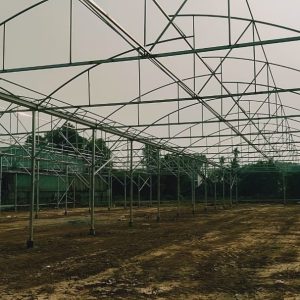 thi-cong-3000m2-trong-thuy-canh-dong-nai-9