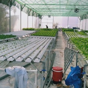 thi-cong-500m2-trong-thuy-canh-tai-duc-hoa-long-an-1