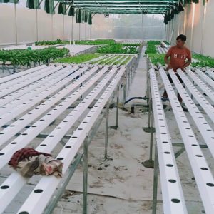 thi-cong-500m2-trong-thuy-canh-tai-duc-hoa-long-an-10