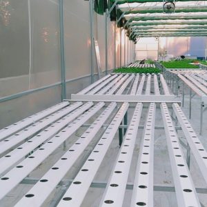 thi-cong-500m2-trong-thuy-canh-tai-duc-hoa-long-an-12