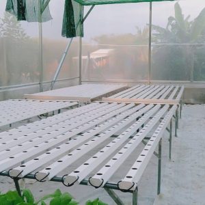 thi-cong-500m2-trong-thuy-canh-tai-duc-hoa-long-an-13