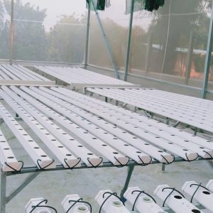 thi-cong-500m2-trong-thuy-canh-tai-duc-hoa-long-an-14