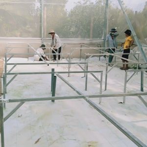 thi-cong-500m2-trong-thuy-canh-tai-duc-hoa-long-an-15