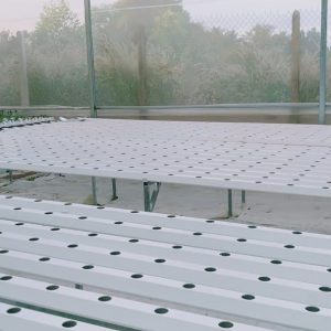 thi-cong-500m2-trong-thuy-canh-tai-duc-hoa-long-an-16