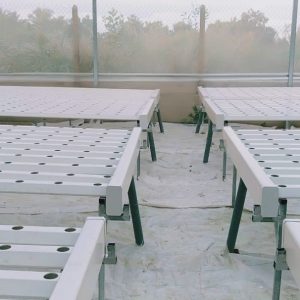 thi-cong-500m2-trong-thuy-canh-tai-duc-hoa-long-an-17