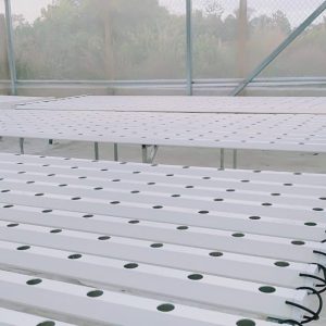 thi-cong-500m2-trong-thuy-canh-tai-duc-hoa-long-an-18